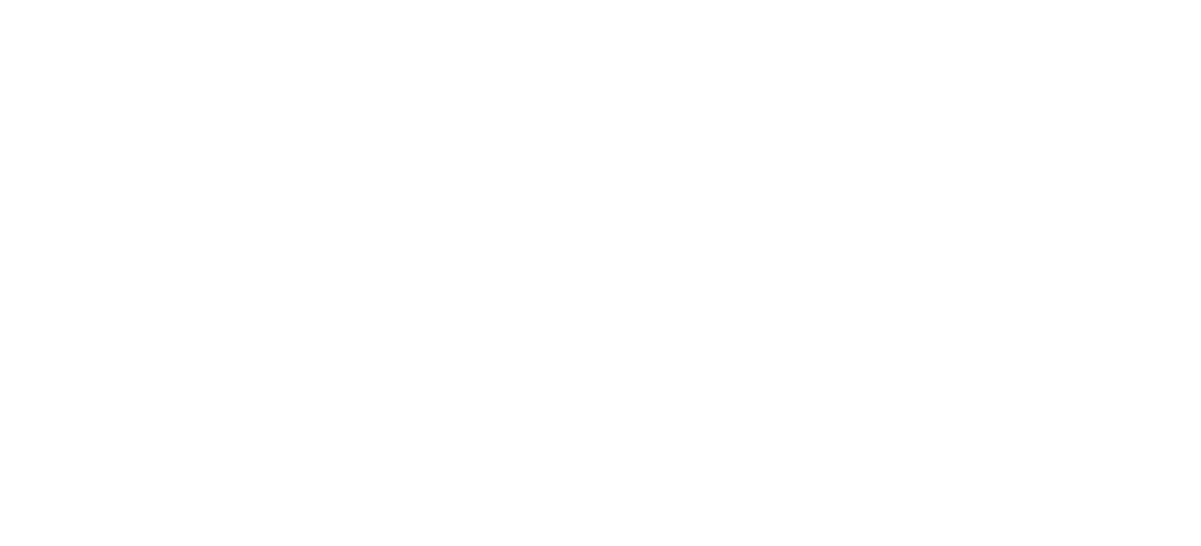 Your Budget Mounters White Logo